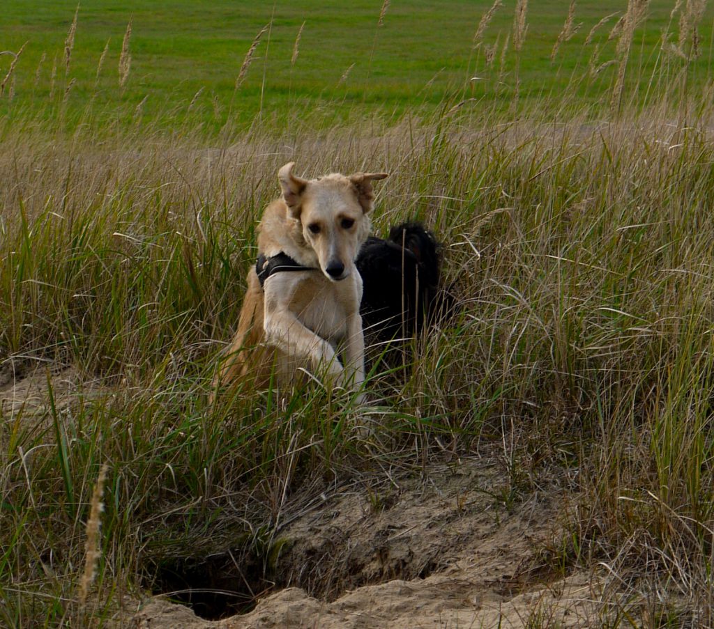 Mit Pepe Okt. 2013 55