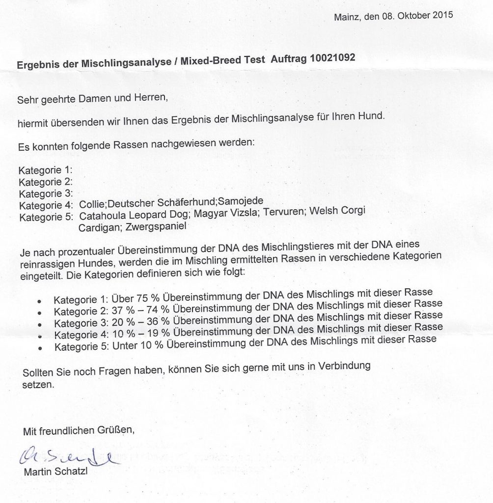 okt-2015-gentest-1-1